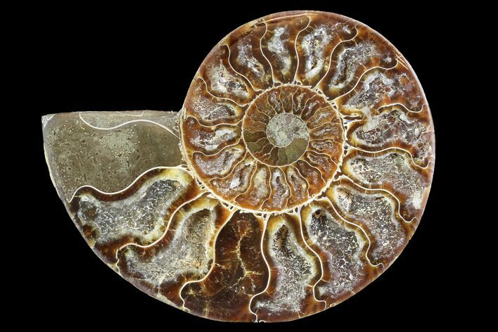 Agatized Ammonite Fossil (Half) - Madagascar #88236